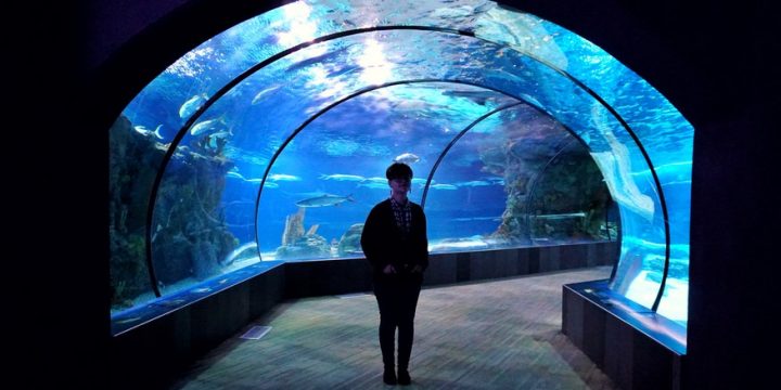 Shark tank pitch to take inspiration from